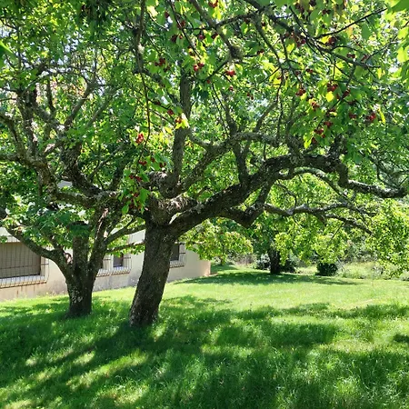 Puente Canto De Gredos