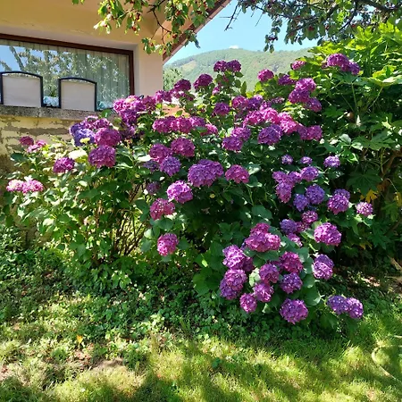 Nyaraló Puente Canto De Gredos