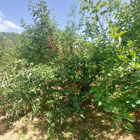 Nyaraló Puente Canto De Gredos Arenas de San Pedro