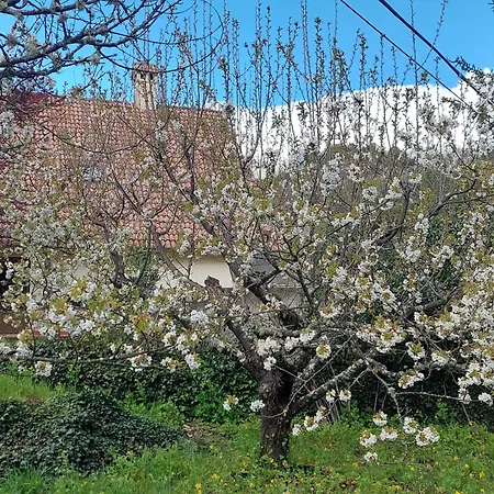 Puente Canto De Gredos Nyaraló Arenas de San Pedro