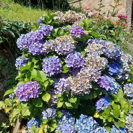 Nyaraló Puente Canto De Gredos *