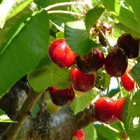 Nyaraló Puente Canto De Gredos *