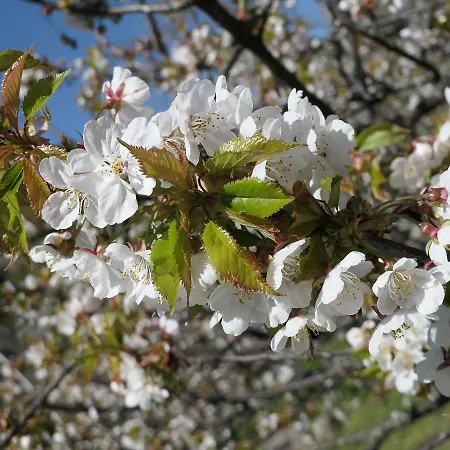 Nyaraló Puente Canto De Gredos *