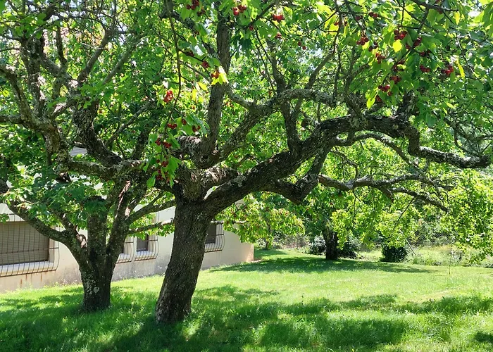 Puente Canto De Gredos