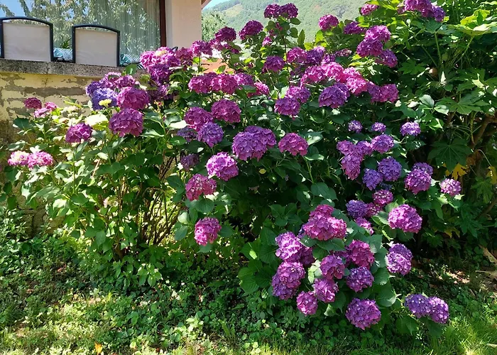 Дом отдыха Puente Canto De Gredos
