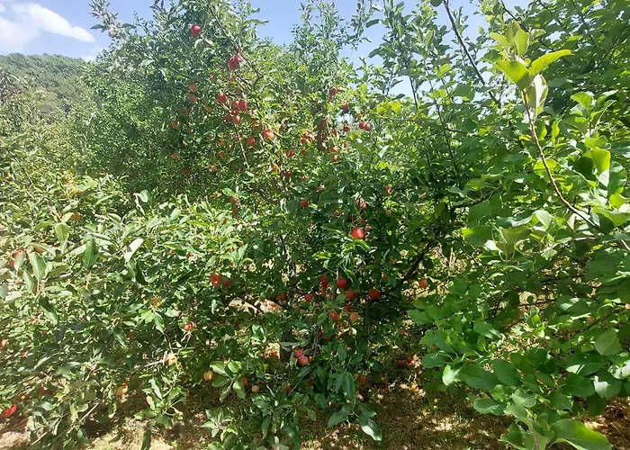 Дом отдыха Puente Canto De Gredos Аренас-де-Сан-Педро