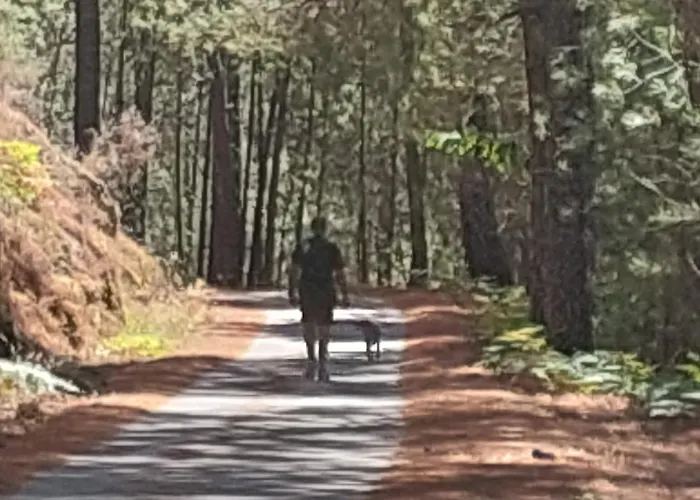 Дом отдыха Puente Canto De Gredos *