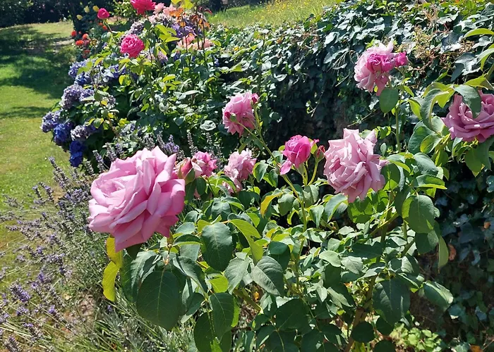 Puente Canto De Gredos Аренас-де-Сан-Педро