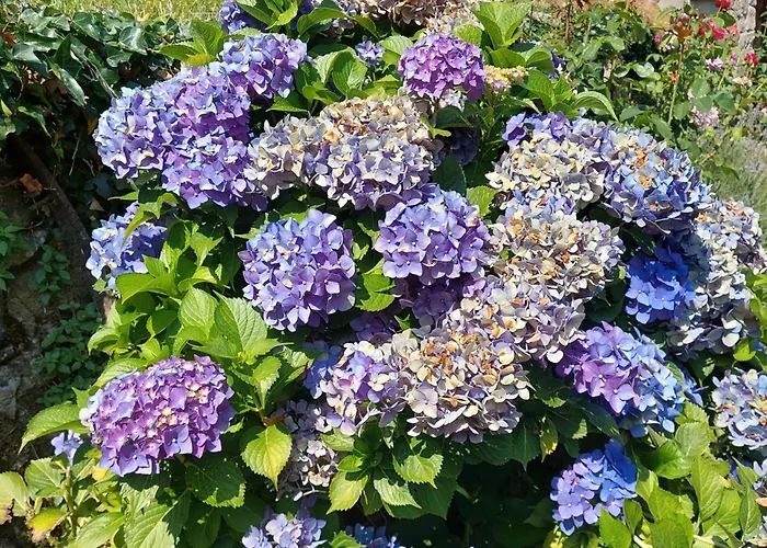 Дом отдыха Puente Canto De Gredos *