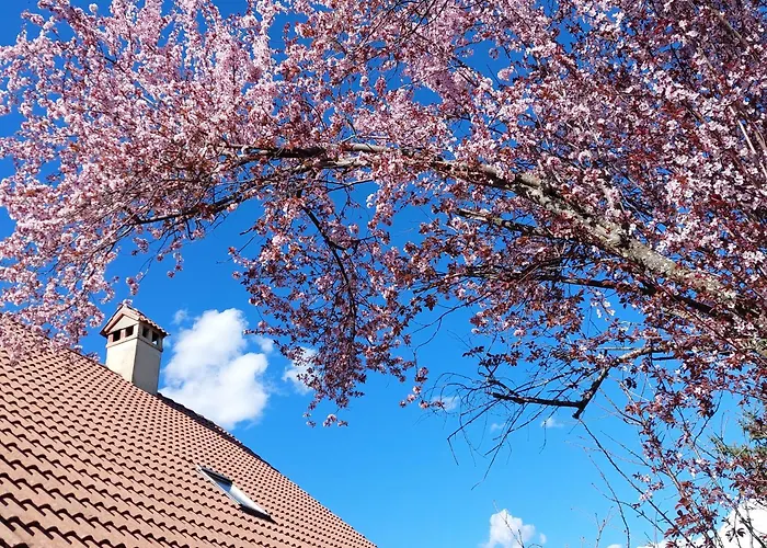 Дом отдыха Puente Canto De Gredos Аренас-де-Сан-Педро