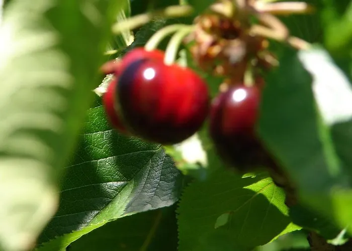 Puente Canto De Gredos * Аренас-де-Сан-Педро