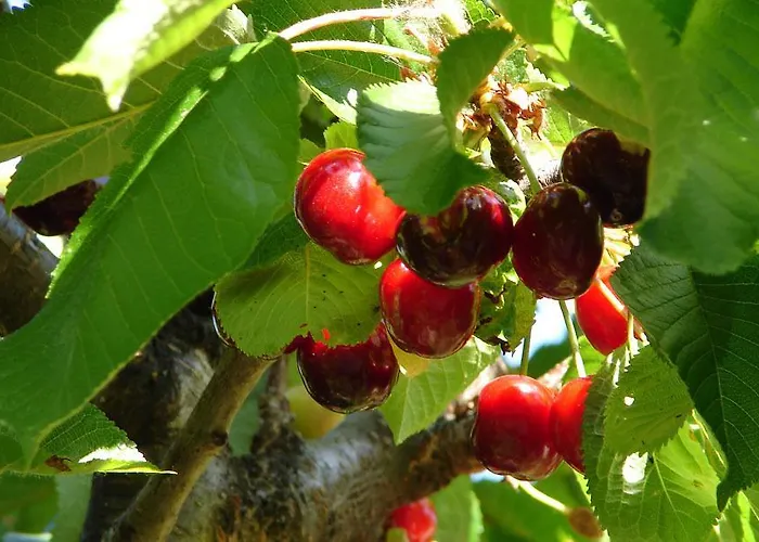 Дом отдыха Puente Canto De Gredos *
