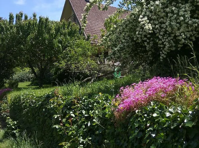 Дом отдыха Puente Canto De Gredos Аренас-де-Сан-Педро