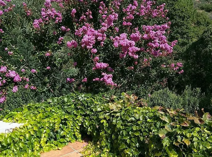 Puente Canto De Gredos Дом отдыха *